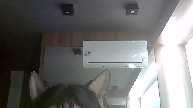 SkinnyKitten: απευθείας συνομιλία ΧΧΧ