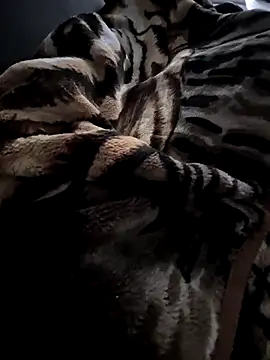 Show de DanOnCam na webcam