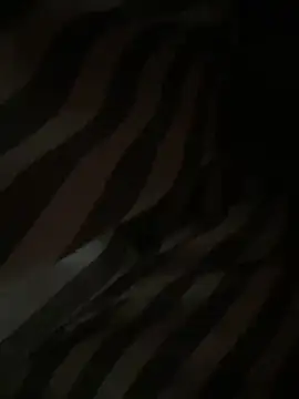 Keola_kwad Show Webcam