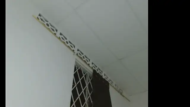 catalina_Ada লাইভ XXX চ্যাট