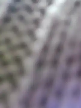 Hot-Sana2 Obrolan Langsung XXX