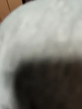 Krisijean72: вебкам-шоу