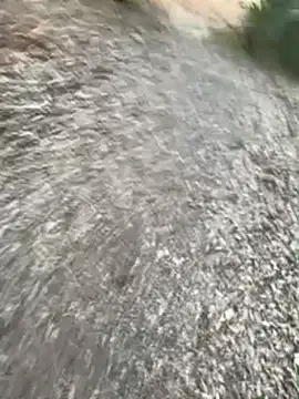 SL_NIKI_PUBLIC Show Webcam