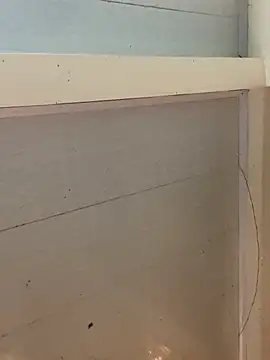 Edward_Milleern Webbikameraesitys