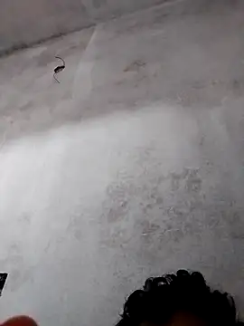 Pokazy przed kamerką – sudhastriper