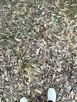 SL_NIKI_PUBLICのウェブカメラショー