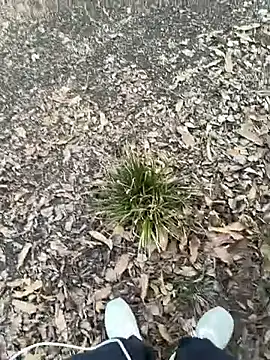 SL_NIKI_PUBLIC: απευθείας συνομιλία ΧΧΧ