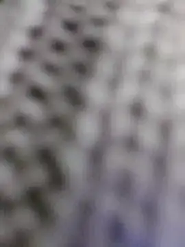 Hot-Sana2 现场XXX聊天