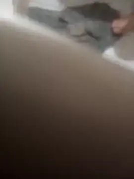 دردشة fercxxxho25 الجنسية المباشرة