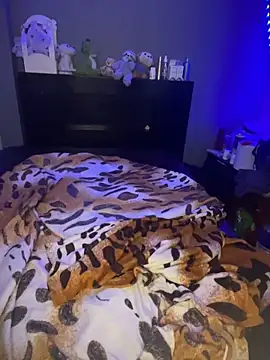 Show Webcam de Kailertwink