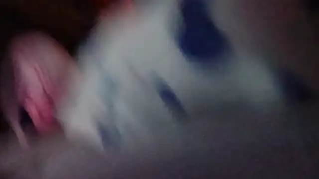 LordSpunFun Webcam-Show