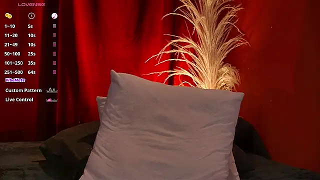 แชท XXX สดของ VicenteFerrer