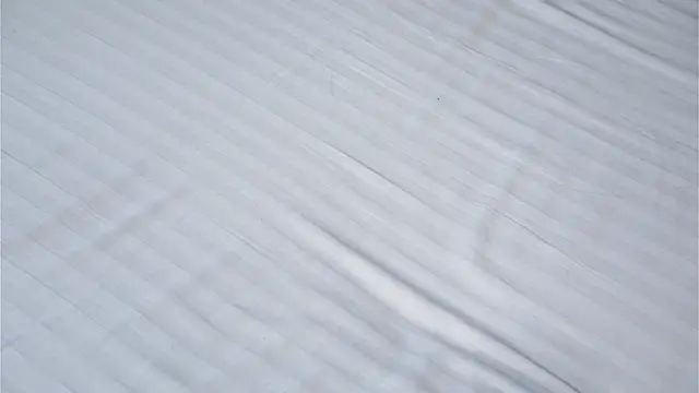 Chat XXX Live EleneButton