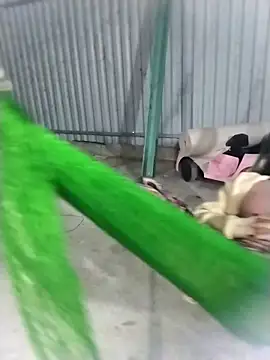 linda_bae00: διαδικτυακό σόου στην κάμερα