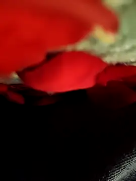 Jiya_hott Webcam Show