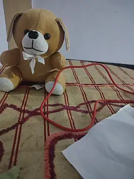 supriyatamil – Kamerová šou