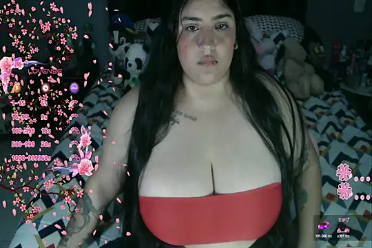 DAILYN__SOFIA__n Webbikameraesitys