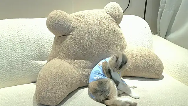 Chat +18 de Uizzzqvq3 ao vivo