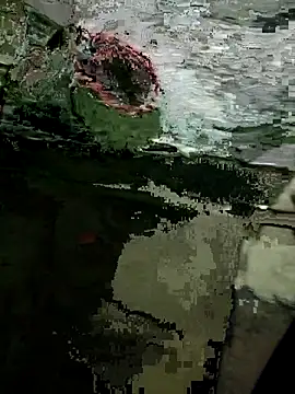 Chat XXX en directo de samlord261