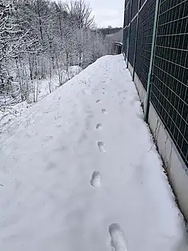 Онлайн чат XXX kot766