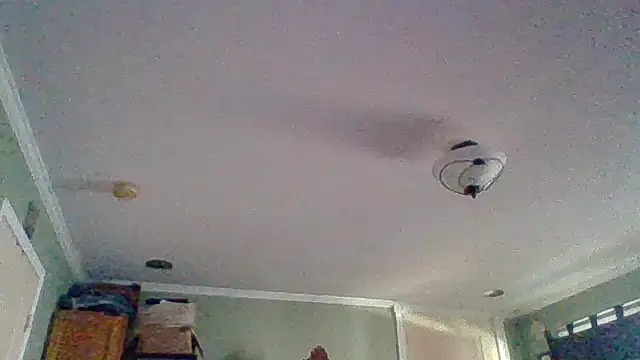 Show Webcam de ThatPlatinumD