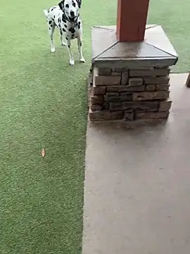 cyclone8888: вебкам-шоу