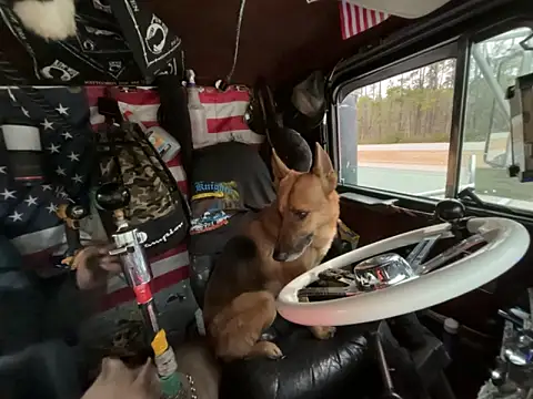 Show webcam de XMeF10