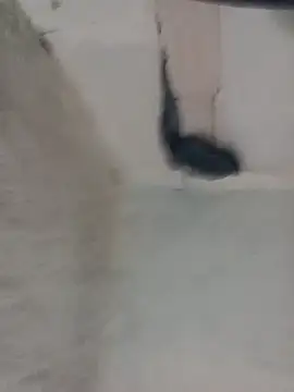 eroos_twink: διαδικτυακό σόου στην κάμερα