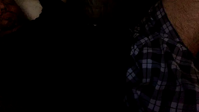 seanfritzn Webbikameraesitys