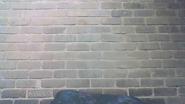 Živý XXX chat EksJouneMwah