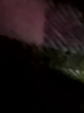 โชว์เว็บแคมของ Highfrog1