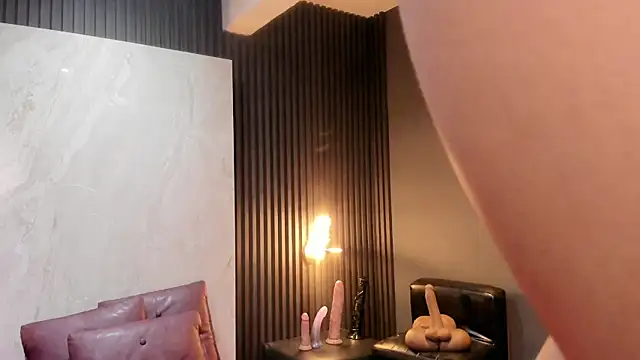 عرض كام AuroraGray