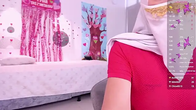 Hannaa_Dollyn Webbikameraesitys