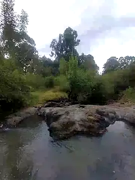 Вебкам-шоу Bruze-Jade