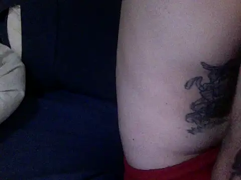 Show modela gaita2 na web-kameri