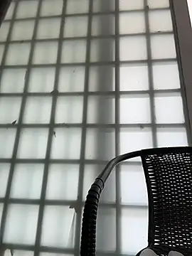 Chat XXX Live Sofia_Convers