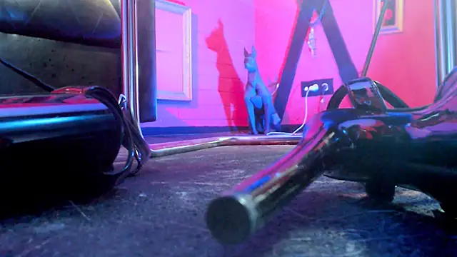 دردشة MonicaMaxwel الجنسية المبا شرة