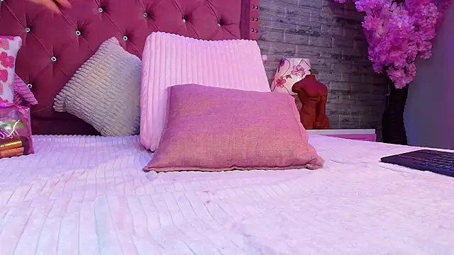 แชท XXX สดของ AuroraSim