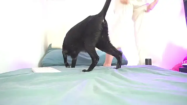 findomfeet Adlı Modelin Canlı XXX Sohbeti