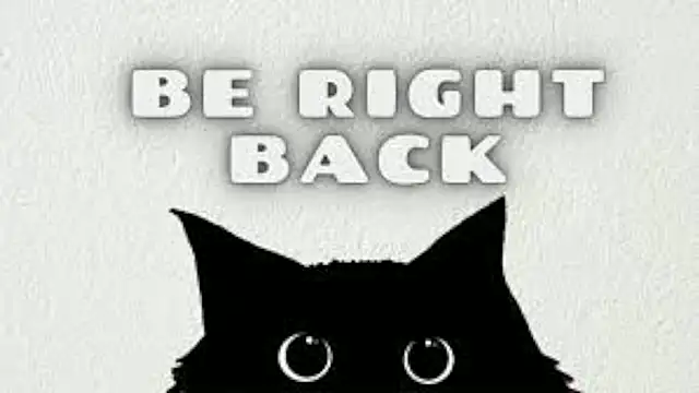 Syndy_Dels: διαδικτυακό σόου στην κάμερα