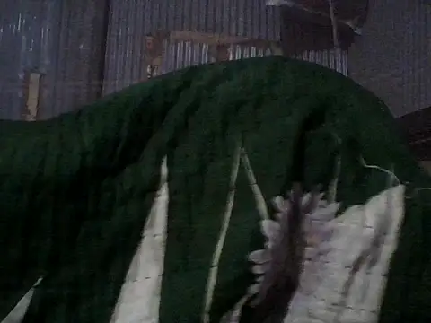 chittagong-hot-boy élő XXX-chatje