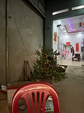 Chat XXX Live gino-sex