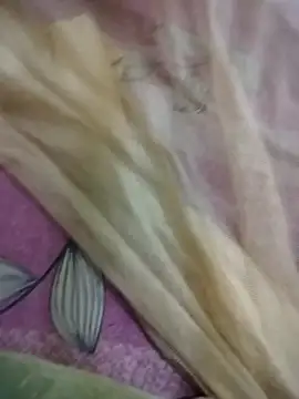 Pertunjukan Kamera Web soni8850