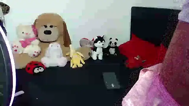 crss_2020 Show in webcam