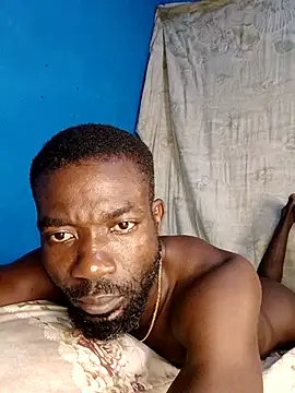 Bulletact Webcam show