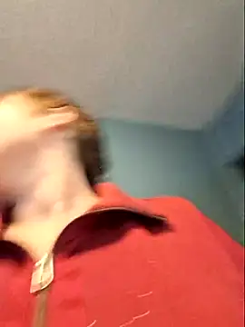 MilfyMrsRobinsonn Live XXX chat