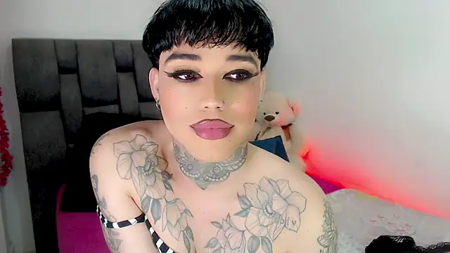 little_star_porn 웹캠 쇼