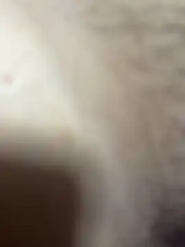 Jackpaus196 Obrolan Langsung XXX