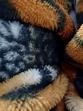 Avinh_09 Obrolan Langsung XXX