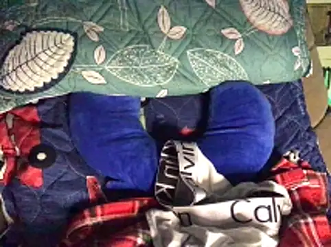 HF-CLOUDY_DENIS 网络视讯表演